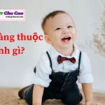 Tên Hoàng thuộc mệnh gì?